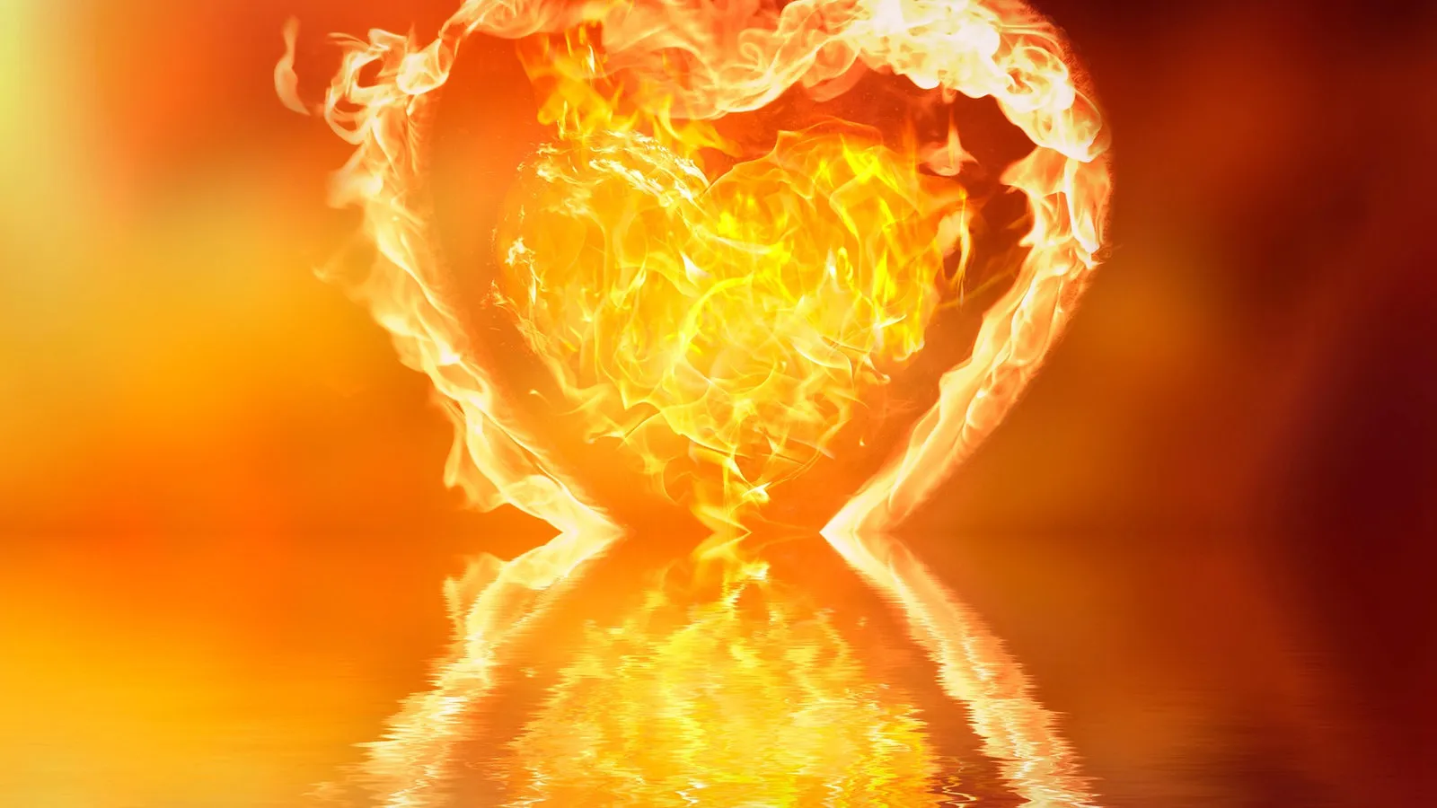 A tended fire burning steadily in a stone hearth