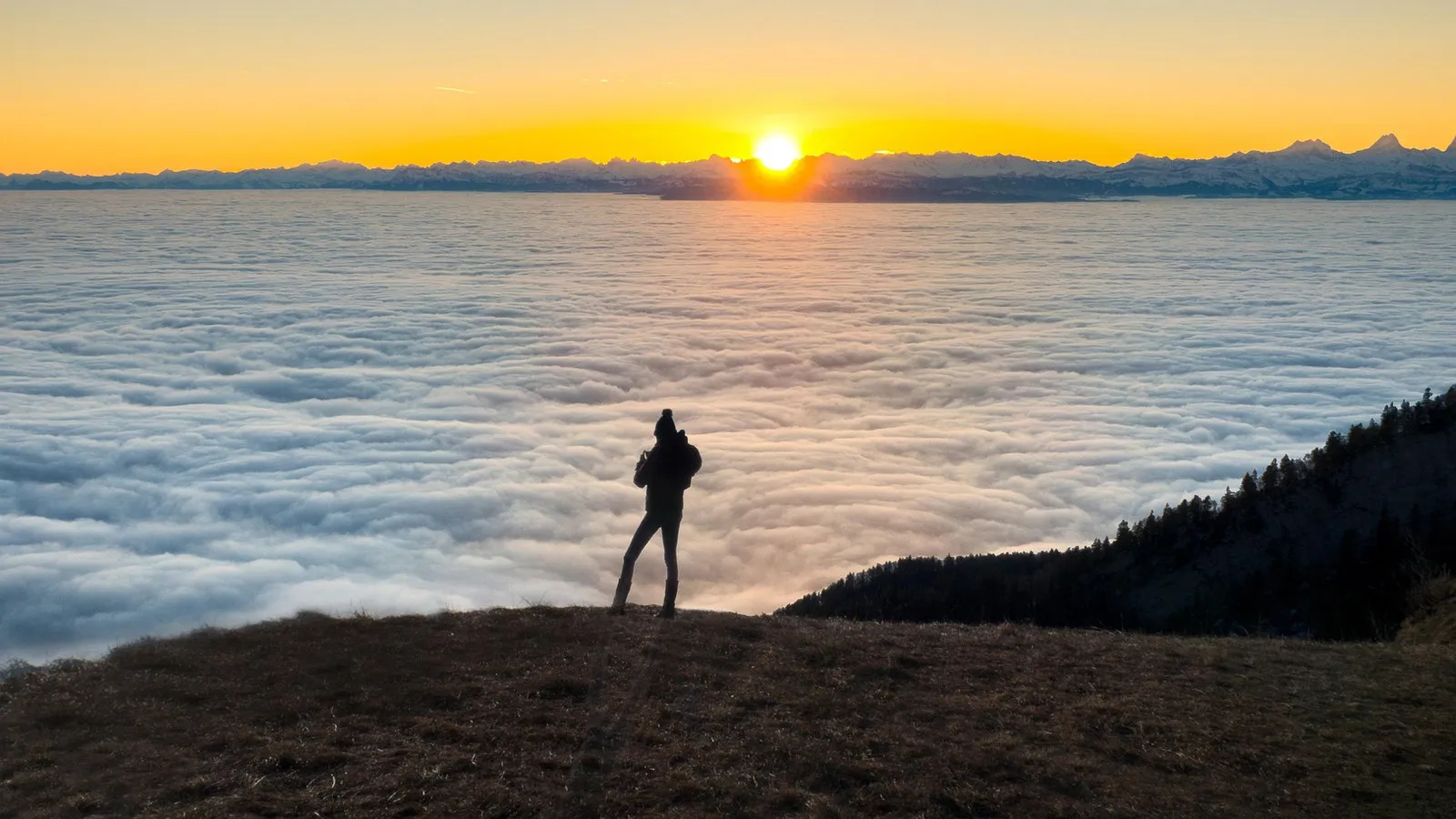Faint emergent patterns forming in mist over a landscape
